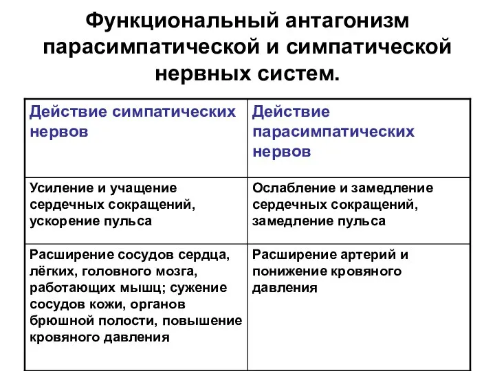 Функциональный антагонизм парасимпатической и симпатической нервных систем.