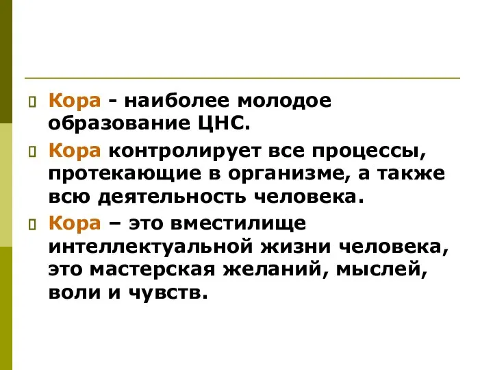 Кора - наиболее молодое образование ЦНС. Кора контролирует все процессы, протекающие