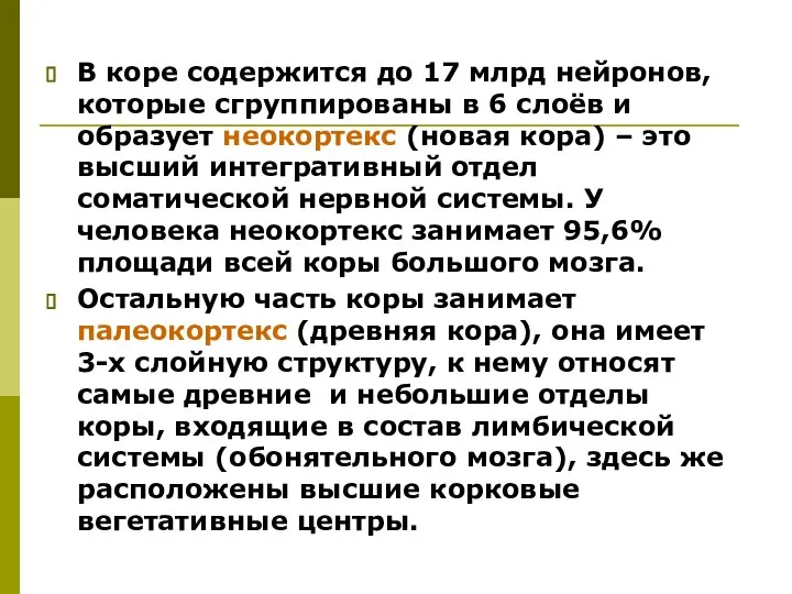 В коре содержится до 17 млрд нейронов, которые сгруппированы в 6