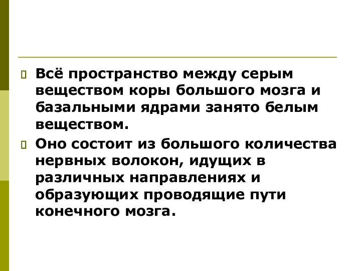 Всё пространство между серым веществом коры большого мозга и базальными ядрами