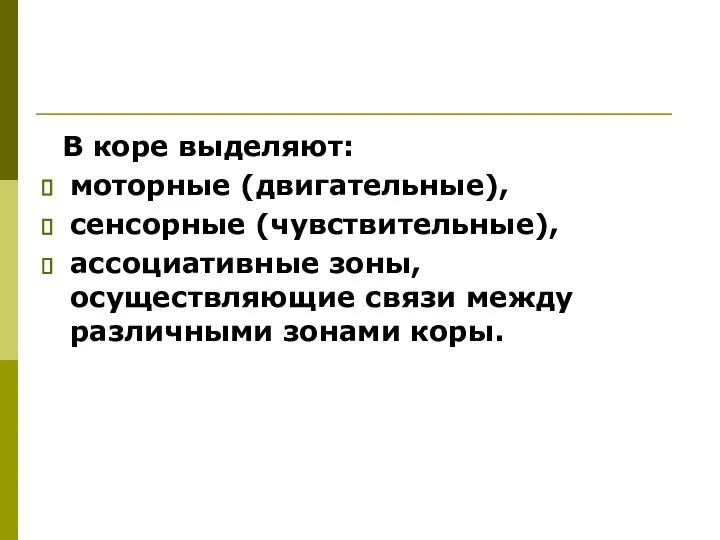 В коре выделяют: моторные (двигательные), сенсорные (чувствительные), ассоциативные зоны, осуществляющие связи между различными зонами коры.