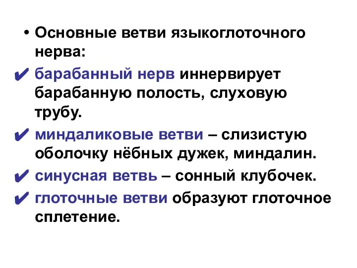 Основные ветви языкоглоточного нерва: барабанный нерв иннервирует барабанную полость, слуховую трубу.