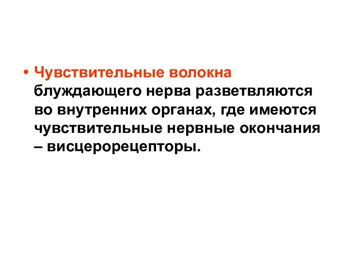 Чувствительные волокна блуждающего нерва разветвляются во внутренних органах, где имеются чувствительные нервные окончания – висцерорецепторы.