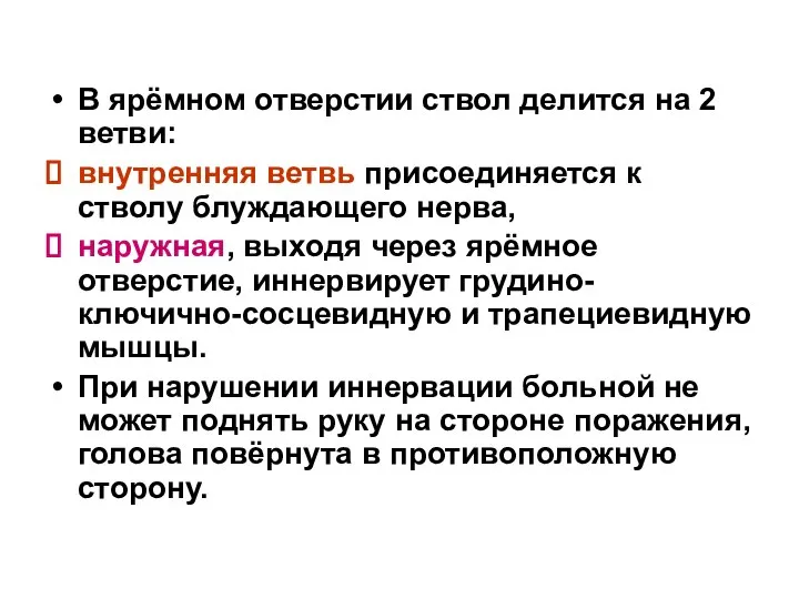 В ярёмном отверстии ствол делится на 2 ветви: внутренняя ветвь присоединяется