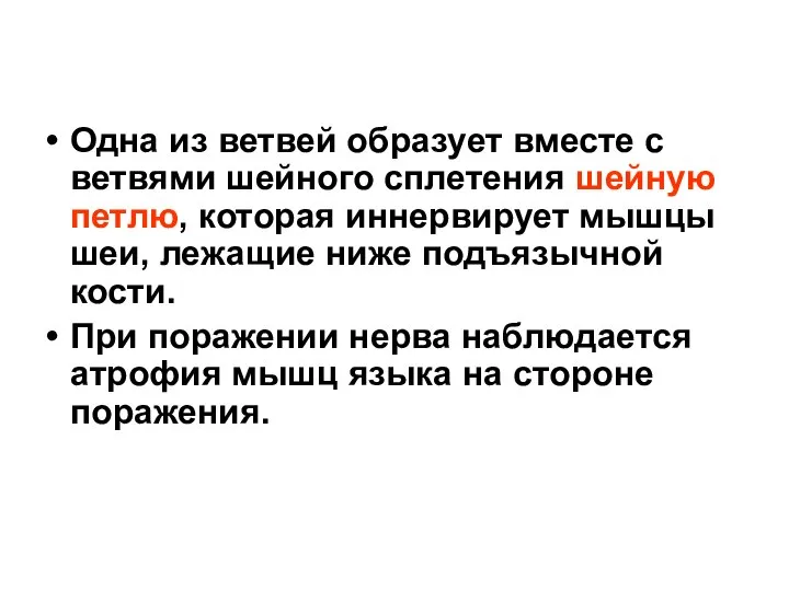 Одна из ветвей образует вместе с ветвями шейного сплетения шейную петлю,