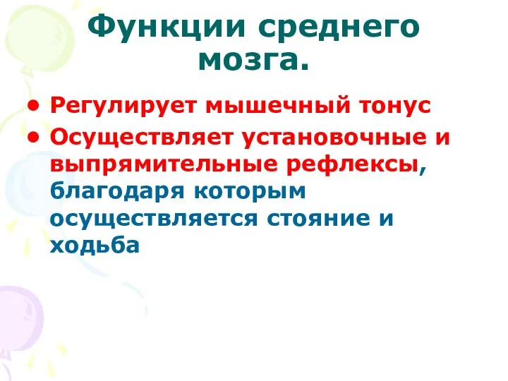 Функции среднего мозга. Регулирует мышечный тонус Осуществляет установочные и выпрямительные рефлексы,