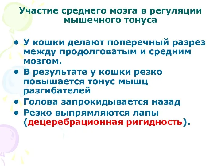 Участие среднего мозга в регуляции мышечного тонуса У кошки делают поперечный