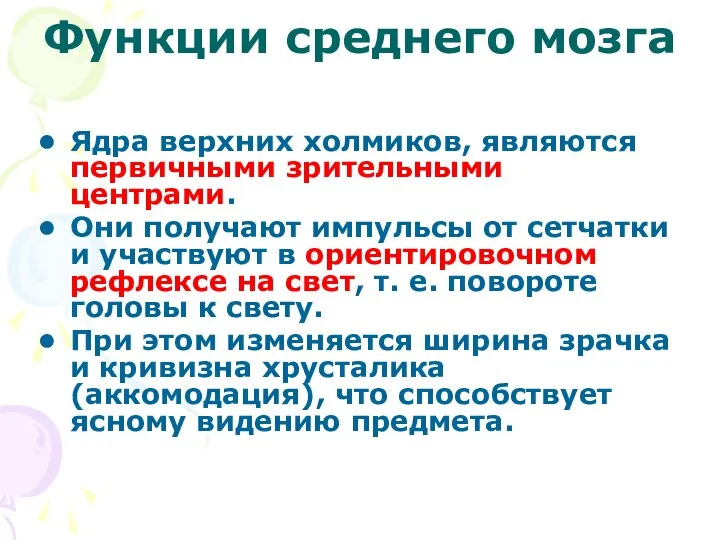 Функции среднего мозга Ядра верхних холмиков, являются первичными зрительными центрами. Они