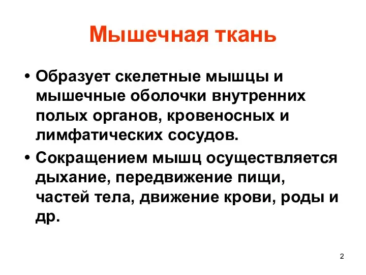 Мышечная ткань Образует скелетные мышцы и мышечные оболочки внутренних полых органов,