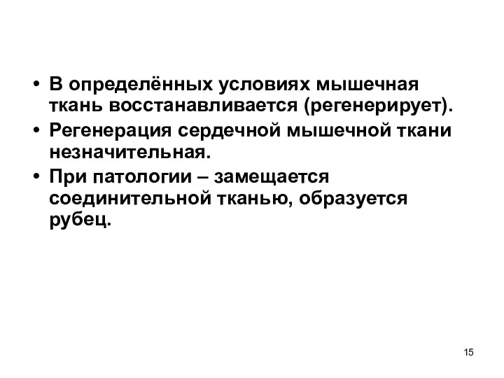 В определённых условиях мышечная ткань восстанавливается (регенерирует). Регенерация сердечной мышечной ткани