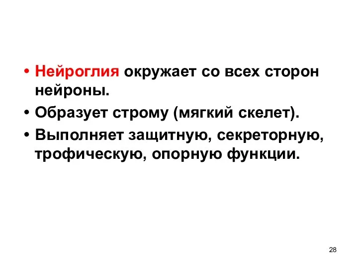 Нейроглия окружает со всех сторон нейроны. Образует строму (мягкий скелет). Выполняет защитную, секреторную, трофическую, опорную функции.