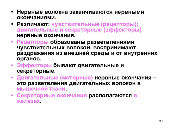 Нервные волокна заканчиваются нервными окончаниями. Различают: чувствительные (рецепторы); двигательные и секреторные