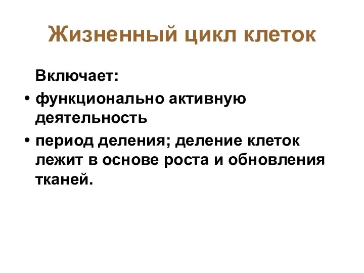 Жизненный цикл клеток Включает: функционально активную деятельность период деления; деление клеток