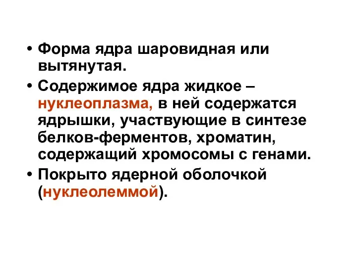 Форма ядра шаровидная или вытянутая. Содержимое ядра жидкое – нуклеоплазма, в