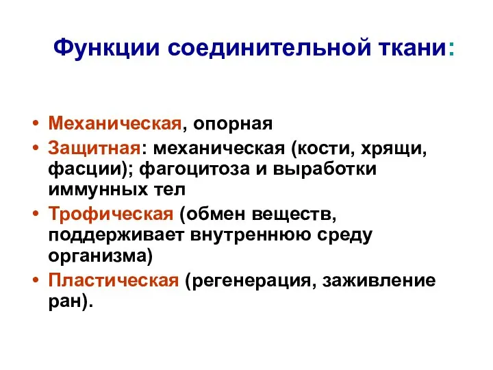 Функции соединительной ткани: Механическая, опорная Защитная: механическая (кости, хрящи, фасции); фагоцитоза