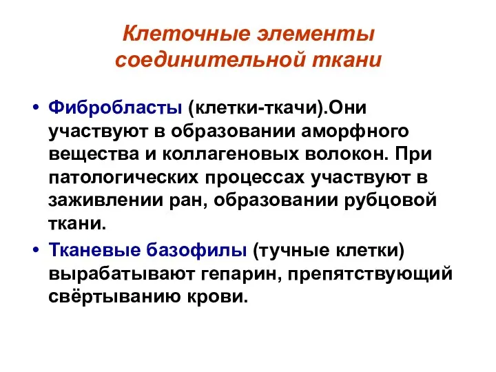 Клеточные элементы соединительной ткани Фибробласты (клетки-ткачи).Они участвуют в образовании аморфного вещества