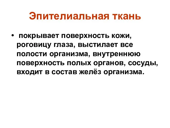 Эпителиальная ткань покрывает поверхность кожи, роговицу глаза, выстилает все полости организма,