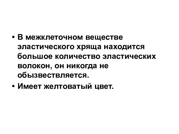 В межклеточном веществе эластического хряща находится большое количество эластических волокон, он