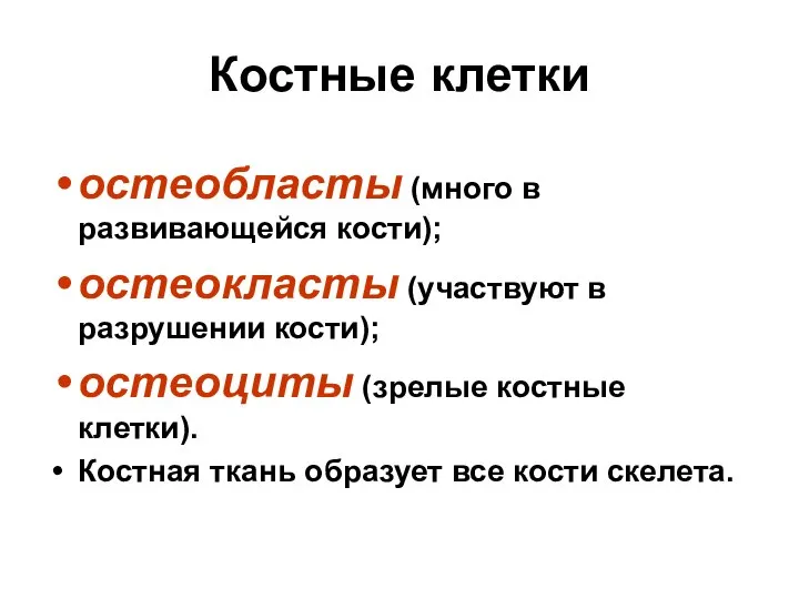 Костные клетки остеобласты (много в развивающейся кости); остеокласты (участвуют в разрушении