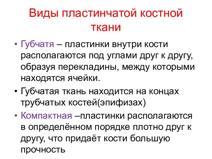 Виды пластинчатой костной ткани Губчатя – пластинки внутри кости располагаются под