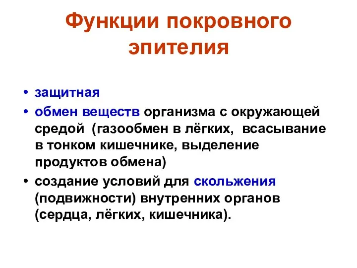 Функции покровного эпителия защитная обмен веществ организма с окружающей средой (газообмен