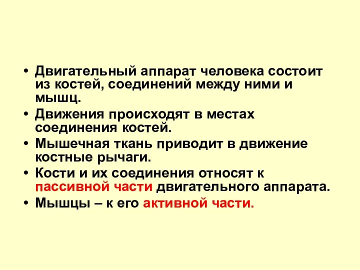 Двигательный аппарат человека состоит из костей, соединений между ними и мышц.