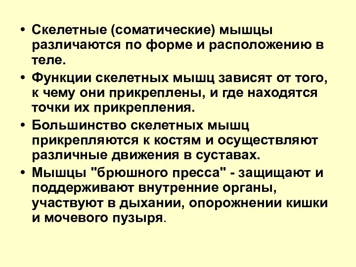 Скелетные (соматические) мышцы различаются по форме и расположению в теле. Функции