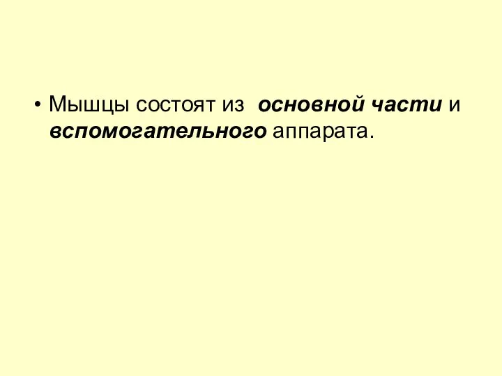 Мышцы состоят из основной части и вспомогательного аппарата.