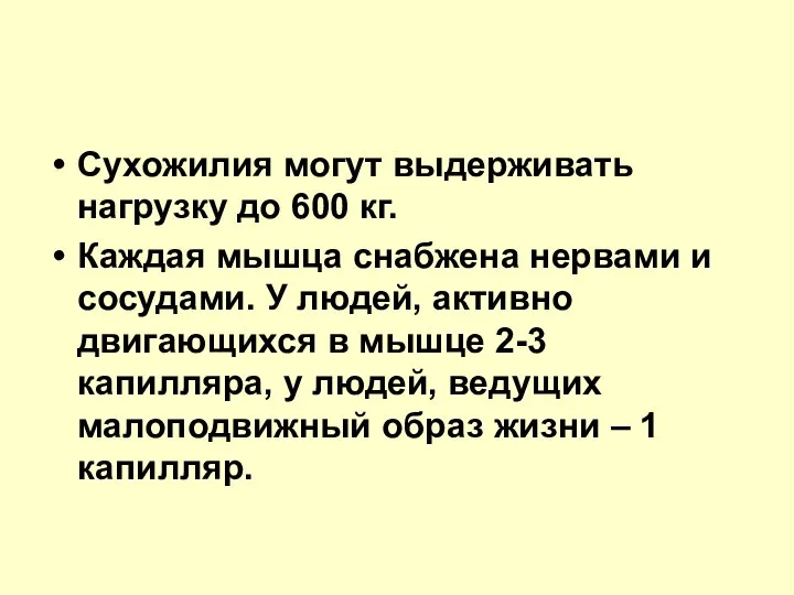 Сухожилия могут выдерживать нагрузку до 600 кг. Каждая мышца снабжена нервами