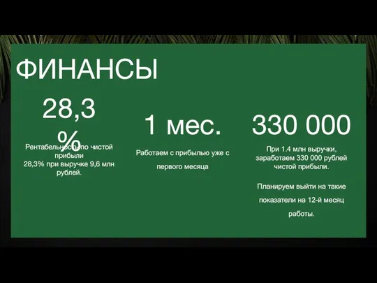 ФИНАНСЫ 28,3% 330 000 1 мес. Работаем с прибылью уже с