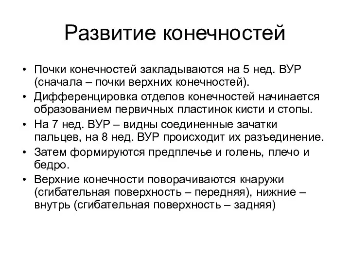 Развитие конечностей Почки конечностей закладываются на 5 нед. ВУР (сначала –