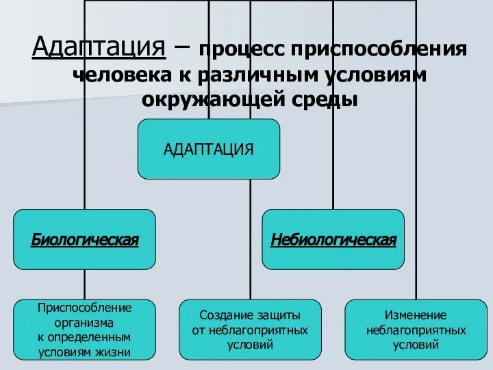 Адаптация – процесс приспособления человека к различным условиям окружающей среды