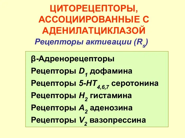 ЦИТОРЕЦЕПТОРЫ, АССОЦИИРОВАННЫЕ С АДЕНИЛАТЦИКЛАЗОЙ Рецепторы активации (Rs) β-Адренорецепторы Рецепторы D1 дофамина