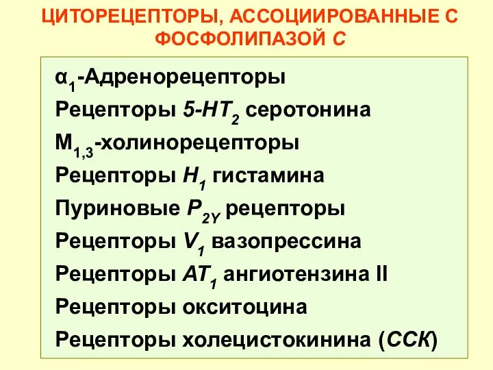 ЦИТОРЕЦЕПТОРЫ, АССОЦИИРОВАННЫЕ С ФОСФОЛИПАЗОЙ С α1-Адренорецепторы Рецепторы 5-HT2 серотонина М1,3-холинорецепторы Рецепторы