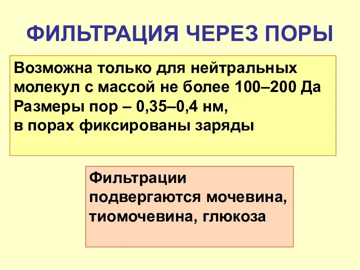 ФИЛЬТРАЦИЯ ЧЕРЕЗ ПОРЫ Возможна только для нейтральных молекул с массой не