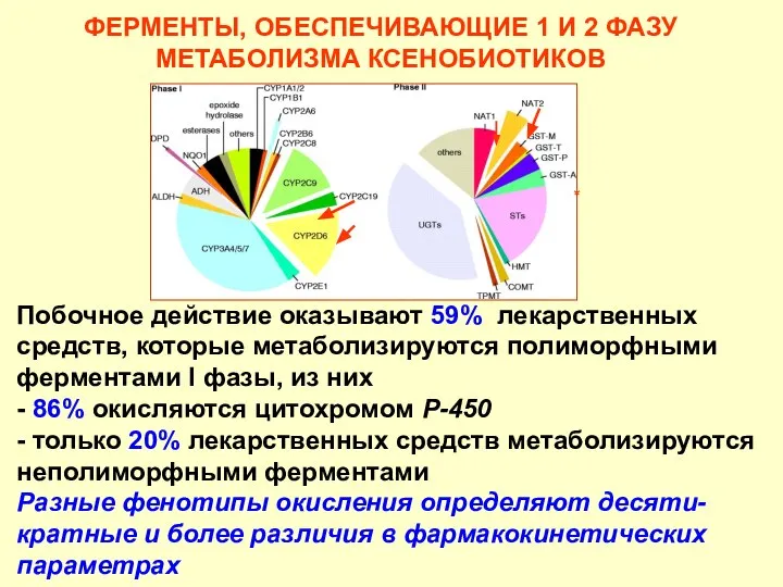 ФЕРМЕНТЫ, ОБЕСПЕЧИВАЮЩИЕ 1 И 2 ФАЗУ МЕТАБОЛИЗМА КСЕНОБИОТИКОВ * Science 286: