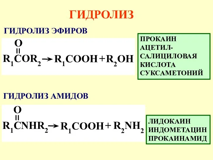 ГИДРОЛИЗ ЛИДОКАИН ИНДОМЕТАЦИН ПРОКАИНАМИД