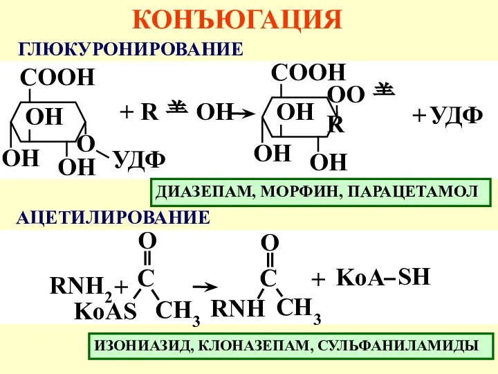 КОНЪЮГАЦИЯ АЦЕТИЛИРОВАНИЕ