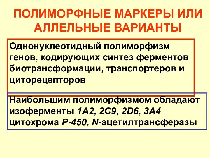 Однонуклеотидный полиморфизм генов, кодирующих синтез ферментов биотрансформации, транспортеров и циторецепторов Наибольшим