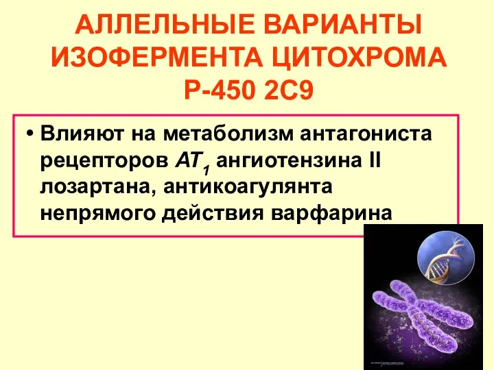 АЛЛЕЛЬНЫЕ ВАРИАНТЫ ИЗОФЕРМЕНТА ЦИТОХРОМА Р-450 2С9 Влияют на метаболизм антагониста рецепторов