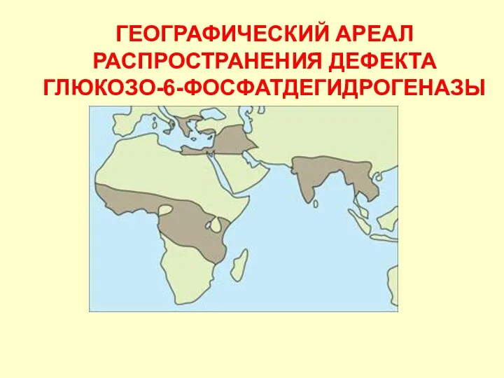 ГЕОГРАФИЧЕСКИЙ АРЕАЛ РАСПРОСТРАНЕНИЯ ДЕФЕКТА ГЛЮКОЗО-6-ФОСФАТДЕГИДРОГЕНАЗЫ