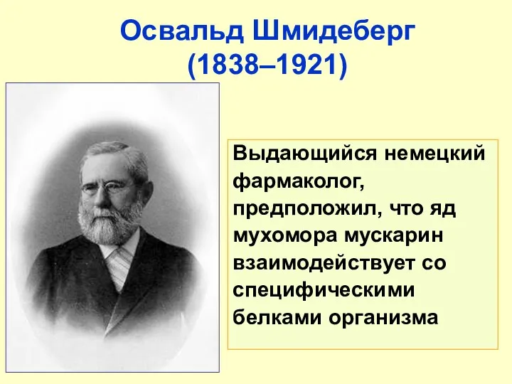 Выдающийся немецкий фармаколог, предположил, что яд мухомора мускарин взаимодействует со специфическими белками организма Освальд Шмидеберг (1838–1921)