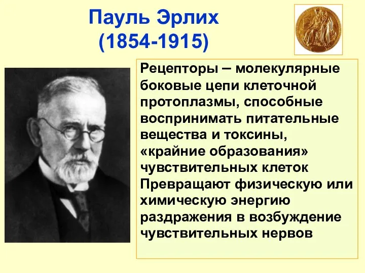 Пауль Эрлих (1854-1915) Рецепторы – молекулярные боковые цепи клеточной протоплазмы, способные