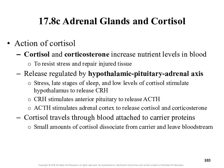 17.8c Adrenal Glands and Cortisol Action of cortisol Cortisol and corticosterone