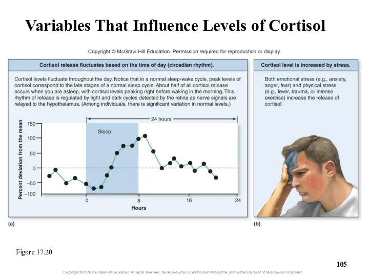 Variables That Influence Levels of Cortisol Figure 17.20