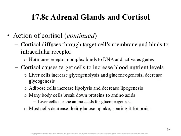 17.8c Adrenal Glands and Cortisol Action of cortisol (continued) Cortisol diffuses