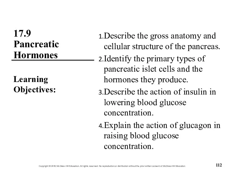 17.9 Pancreatic Hormones Describe the gross anatomy and cellular structure of