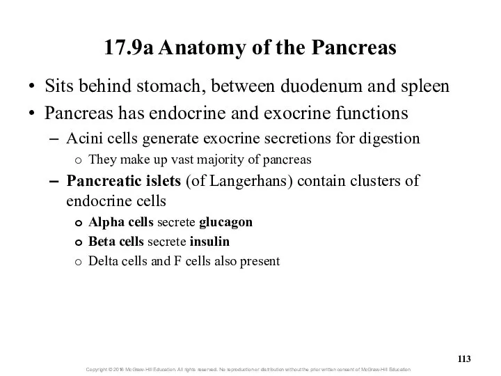 17.9a Anatomy of the Pancreas Sits behind stomach, between duodenum and