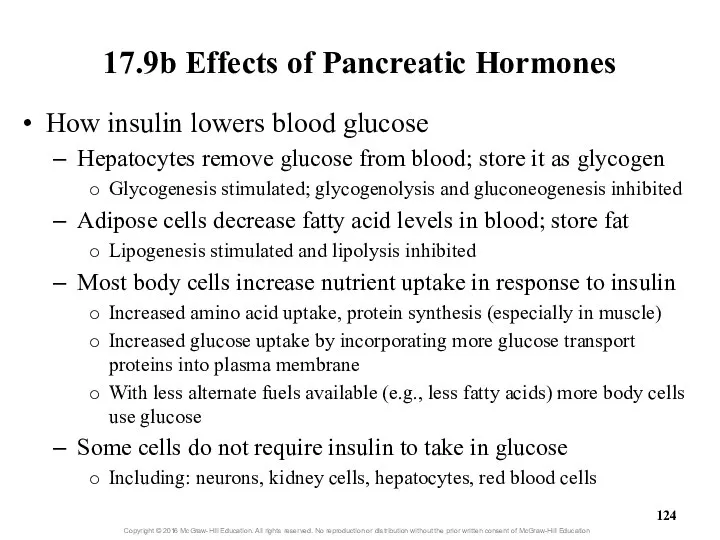 17.9b Effects of Pancreatic Hormones How insulin lowers blood glucose Hepatocytes