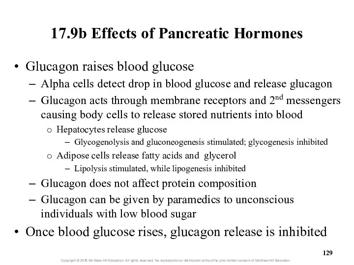 17.9b Effects of Pancreatic Hormones Glucagon raises blood glucose Alpha cells